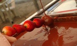 Carrinho de Frutas no Chocolate